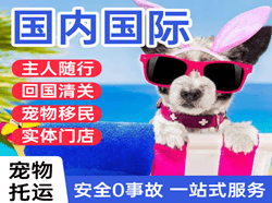 玉树巴塘航空货运国际宠物托运 【国